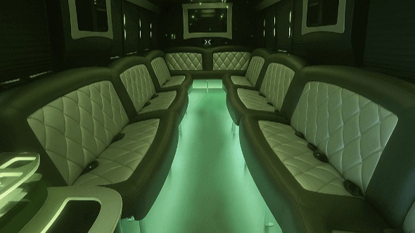 18 passenger party bus interior