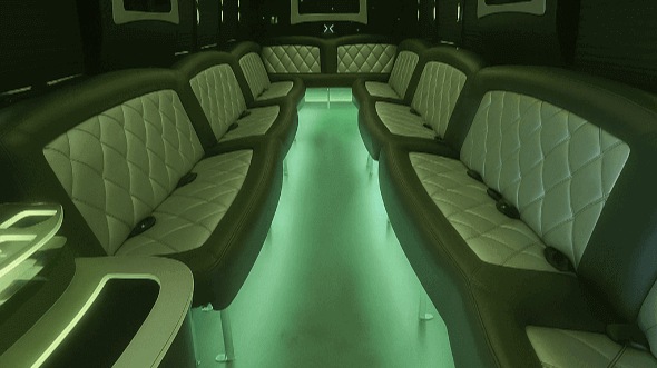 Interior of Green Bay Party Bus Company's 25 Passenger Party Bus in Green Bay