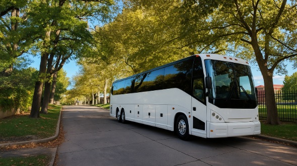 waukesha bachelor and bachelorette party bus rentals